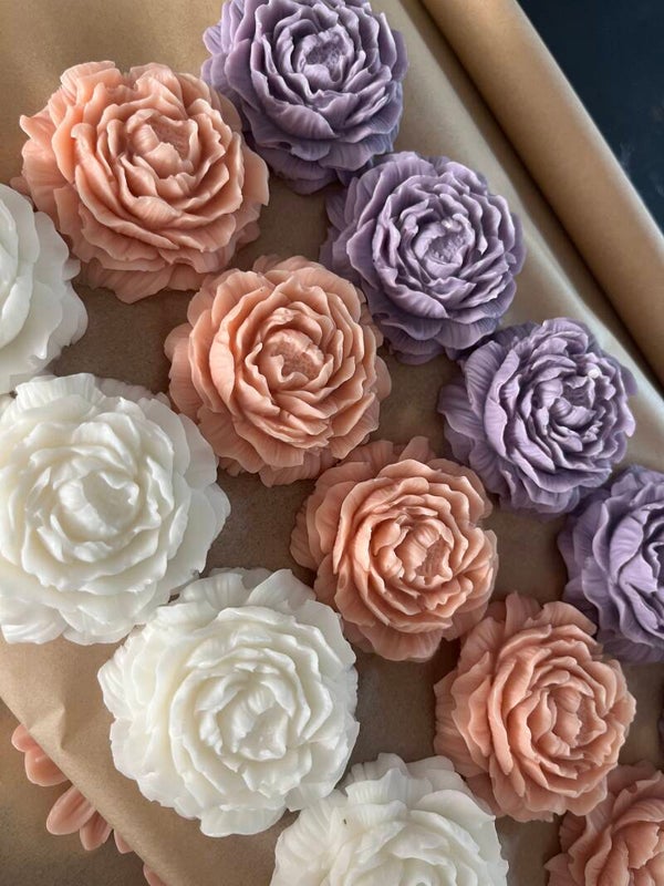 Peony roosje