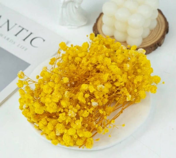 Gipskruid geel per 10 mini takjes