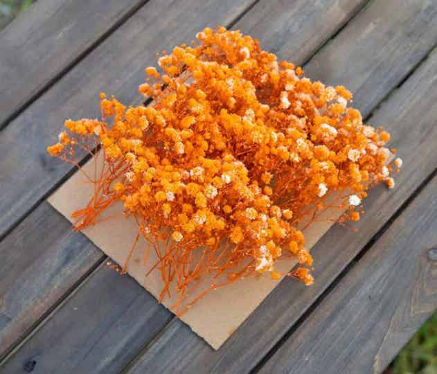 Gipskruid oranje per 10 mini takjes