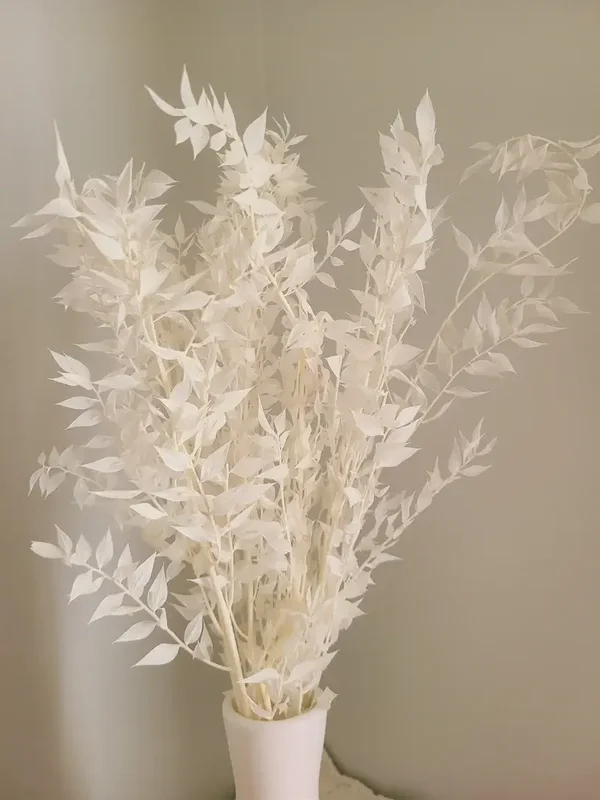 Rucus wit per kleine 10 takjes