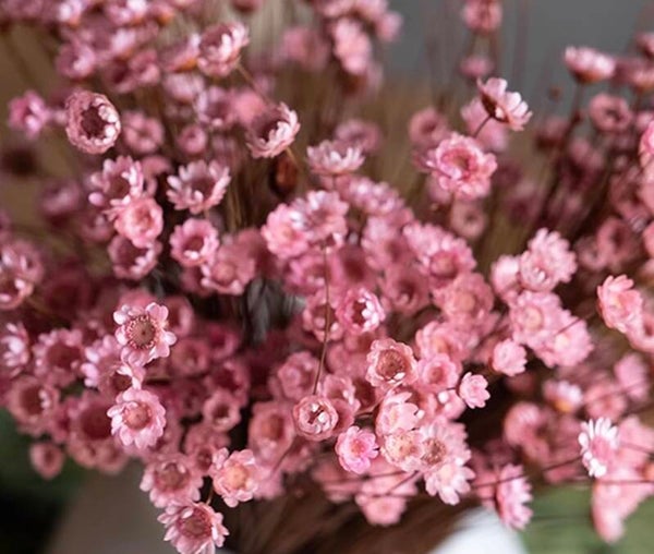 Mini bloempje roze per 10 bloemetjes