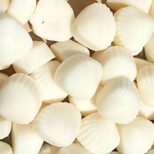 Mini schelp zeepjes