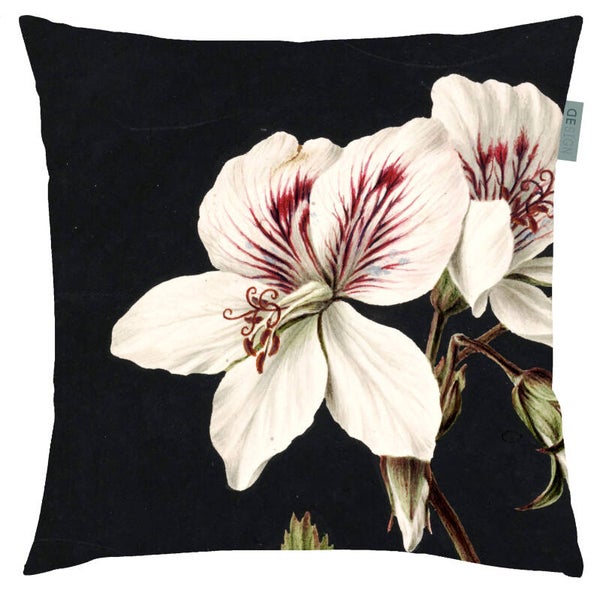 SIERKUSSEN CHERAS | KLASSIEK  | SOFT VELVET