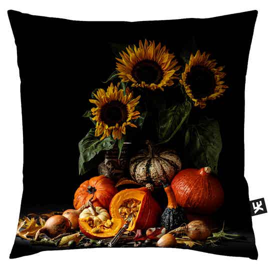 SIERKUSSEN PUMPKIN - ART BY ALESSANDRA MIGNARDI