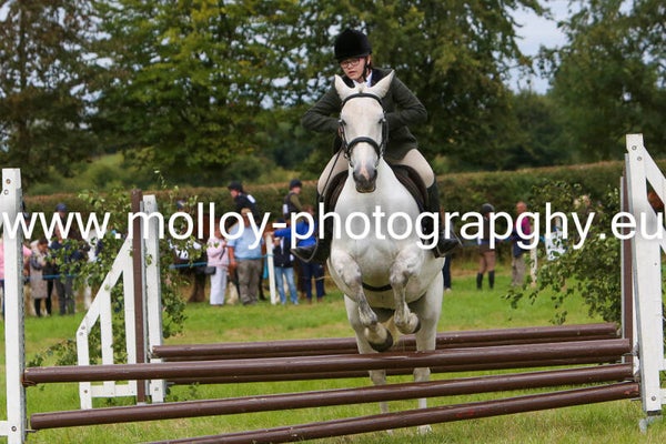 Moate Agri Show 2026
