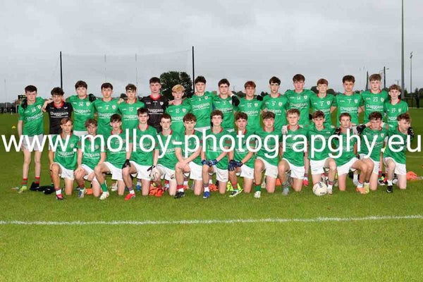 Clann na nGael v St. Brigid's U16 D1 Final