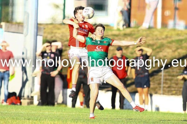 Caulry v Garrycastle