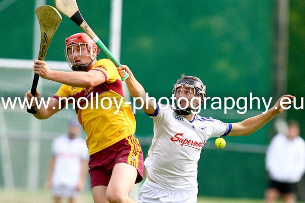 Raharney v Southern Gaels IHC