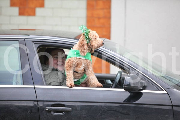 Moate St. Patrick's Day Parade 2026
