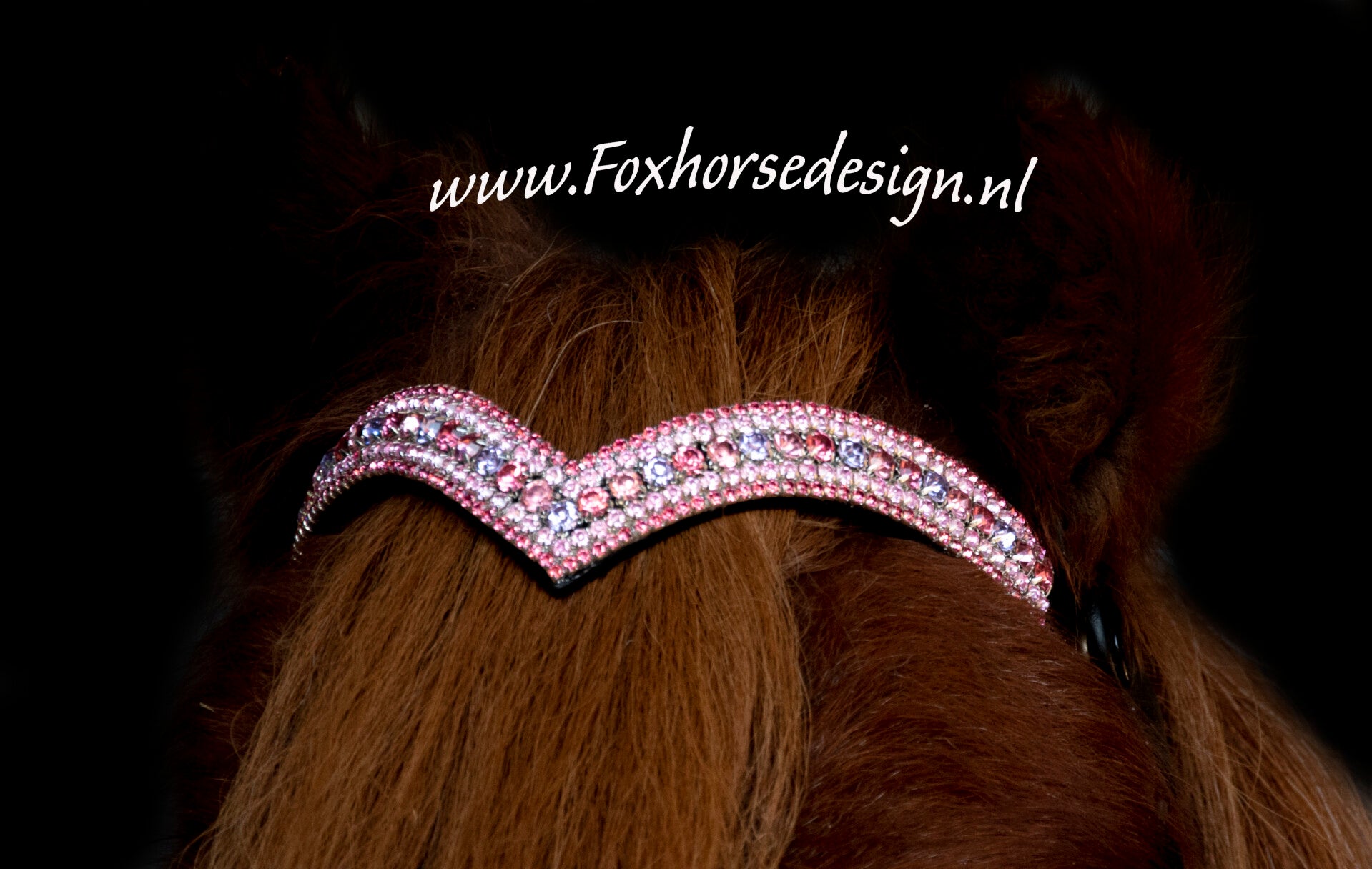 V Frontriem pony met Drukknopen