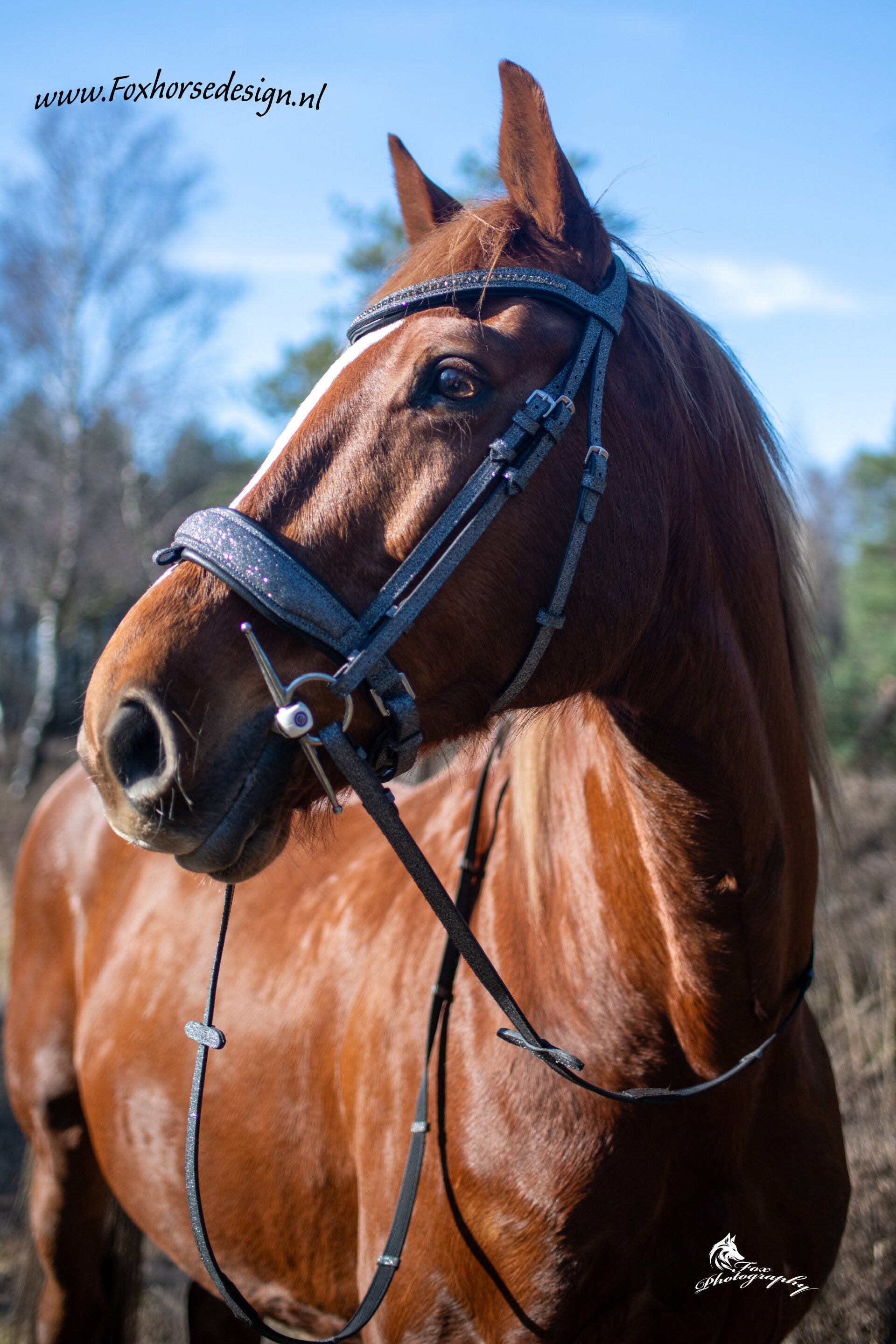 Glitter Hoofdstel shet grijs glitter