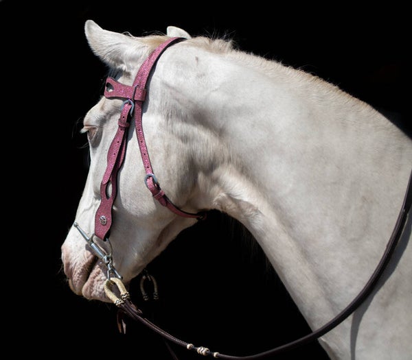 Cob Western hoofdstel pink