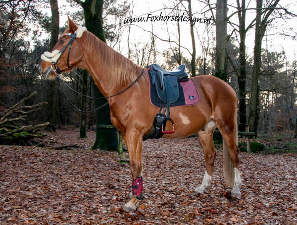 Dressuur dekje full Bordeaux glitter