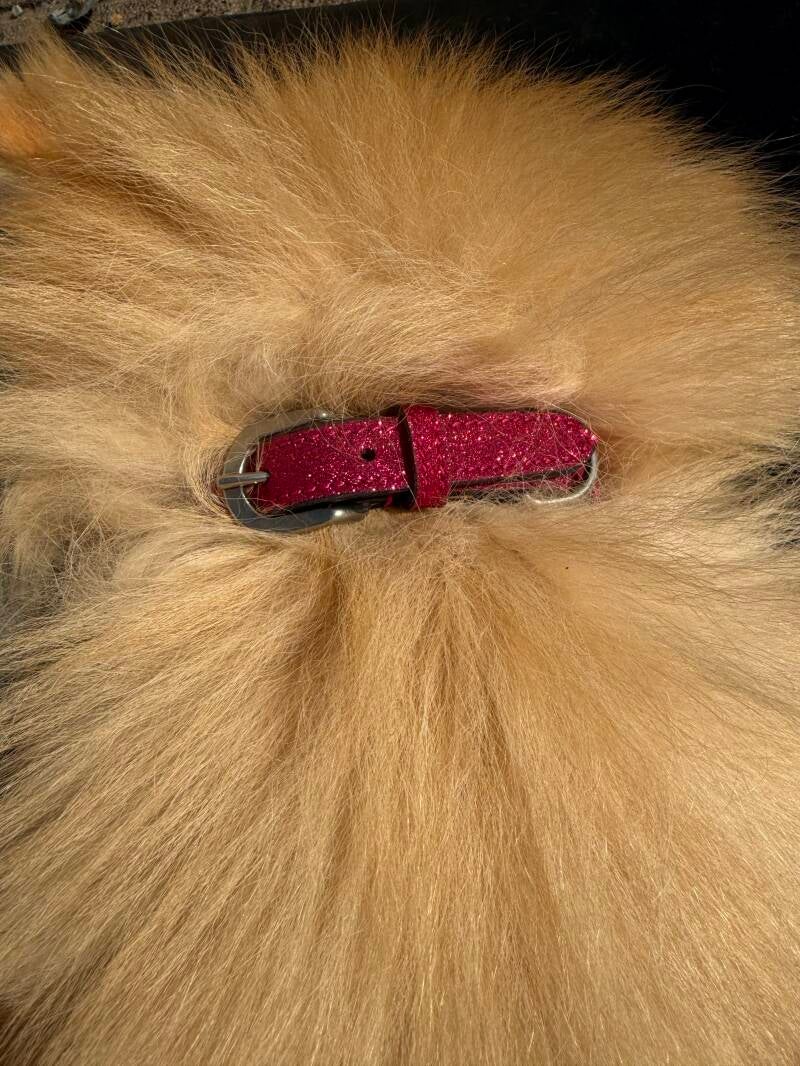 Halsband glitter fuchsia maat M