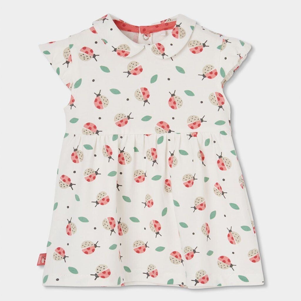 Boboli ladybug