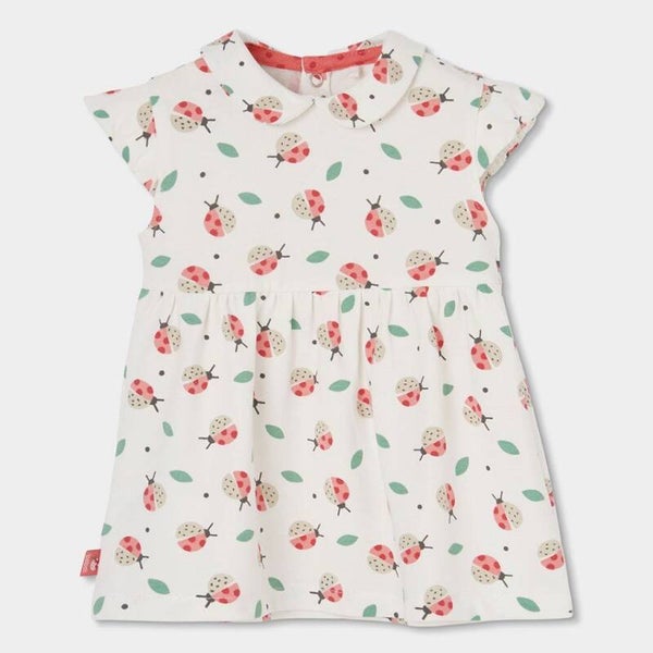 Boboli ladybug