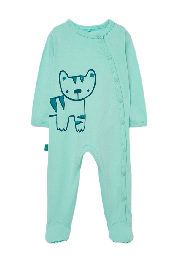 Boboli cat.