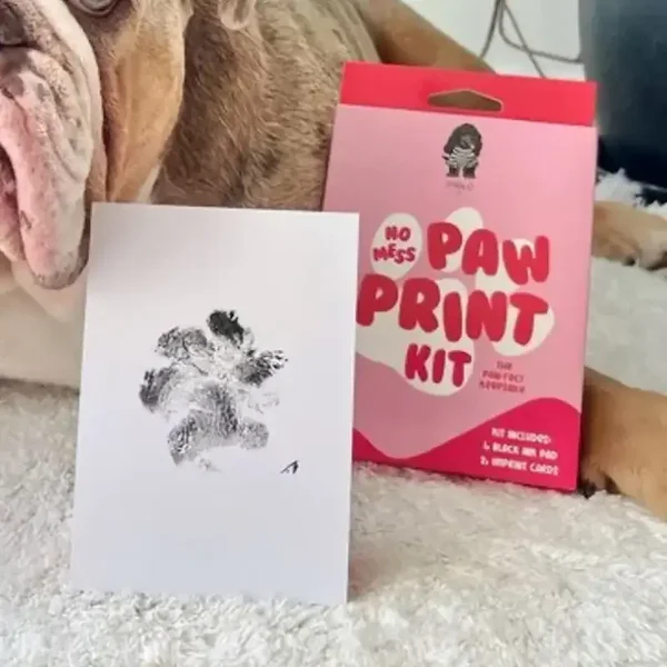 No Mess Paw Print Kit