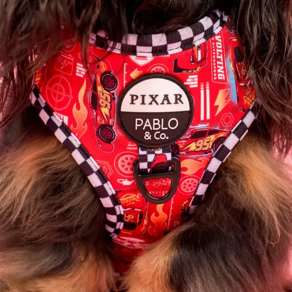 Cars Adjustable Harness