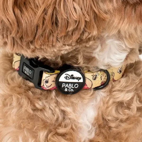 Winnie the Pooh & Bee's: Dog Collar