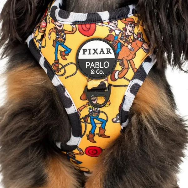 Toy Story Woody's Roundup Adjustable Harness