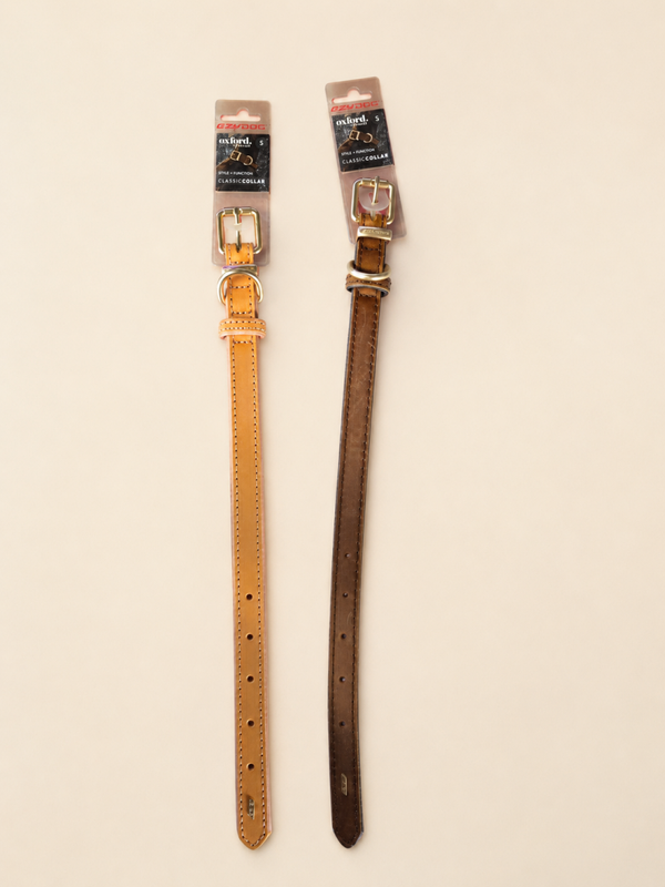 Oxford Leather Collar
