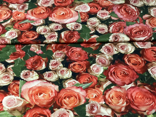 50x160 Jersey Rote Rosen  Meterware