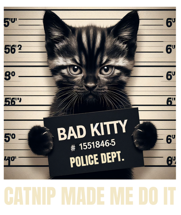 Bügelbild Bad Kitty /Catnip Schwarze Katze 26x23 cm