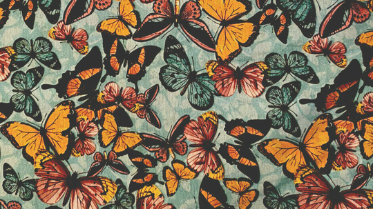 JERSEY Digitaldruck - Schmetterlinge Türkis  / Orange 50* 160 cm