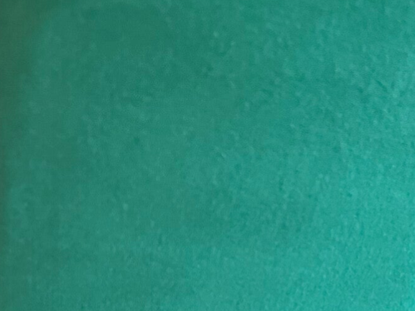 50 cm Baumwolljersey Flaschengrün Uni Einfarbig Meterware