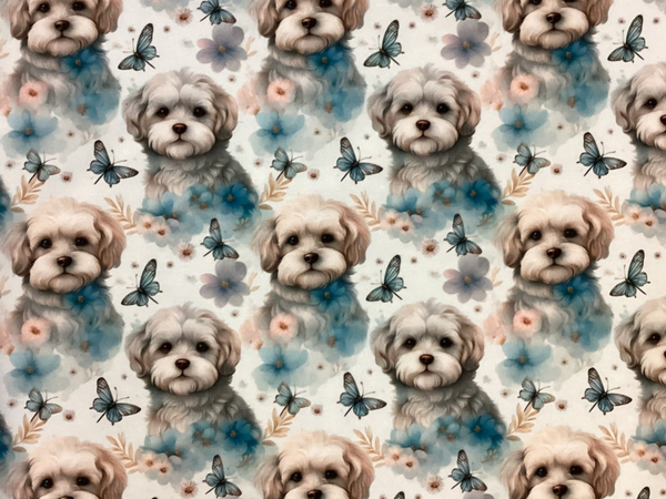 Auf Lager Malteser Hunde Schmetterlinge Beige Blau Aquarelle French Terry Meterware Eigenproduktion