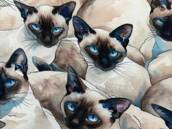 Siam Katzen mit Blauen Augen Sommersweat  FRENCH TERRY Meterware Exclusiv