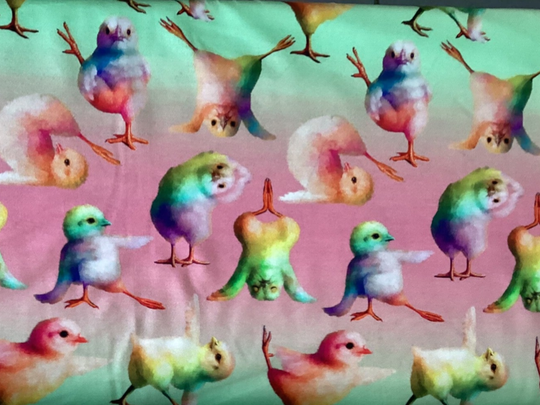 50 cm Jersey Exclusiv  Regenbogen Kücken  Ostern  Frühling Meterware 180 cm Breit