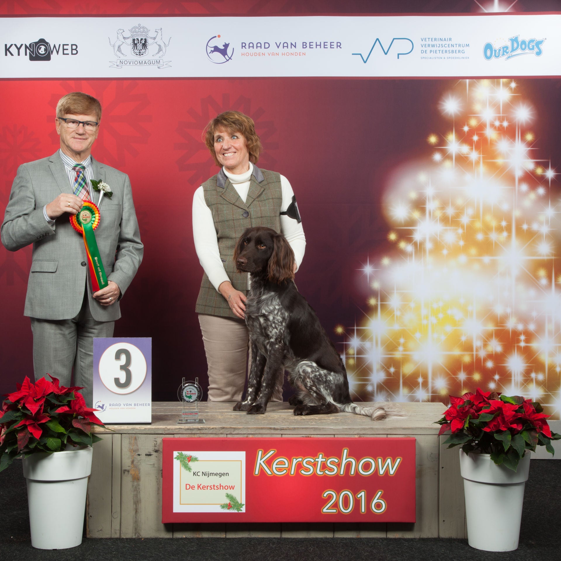 17 december 2017 - 3e rasgroep 7 - Kerstshow 2016