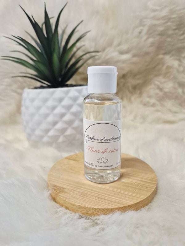 Recharge diffuseur à tige