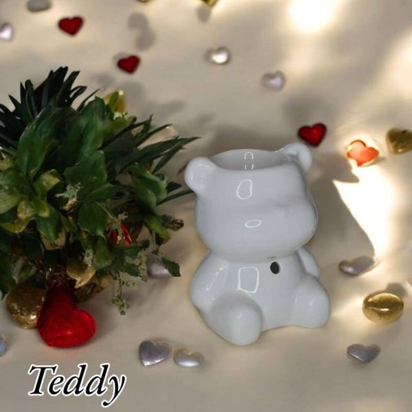 Teddy