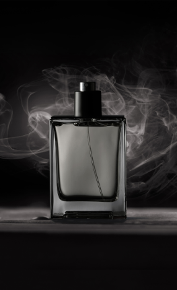 Les Dupes Masculin