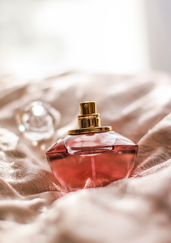 Les Dupes Féminin