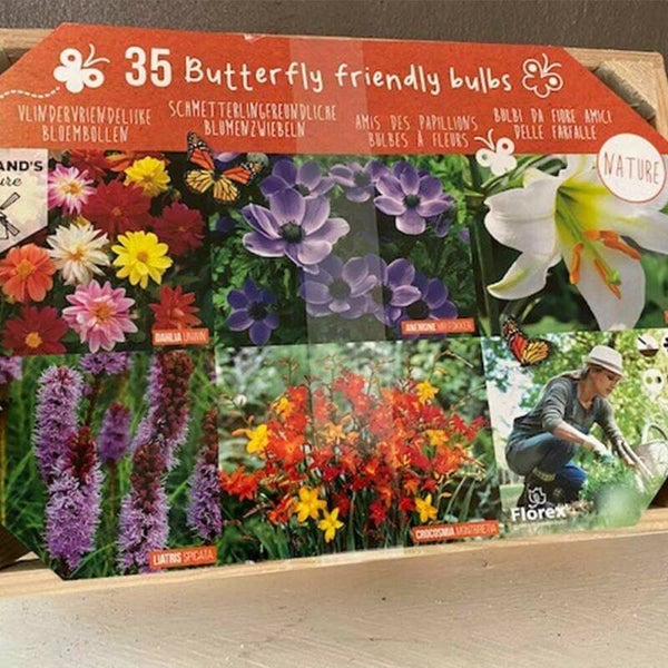 bloembollen box | oranje 