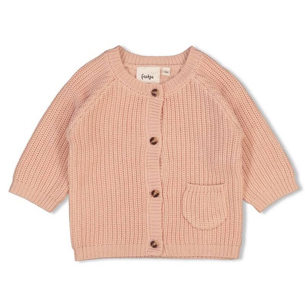 Feetje vestje gebreid roze