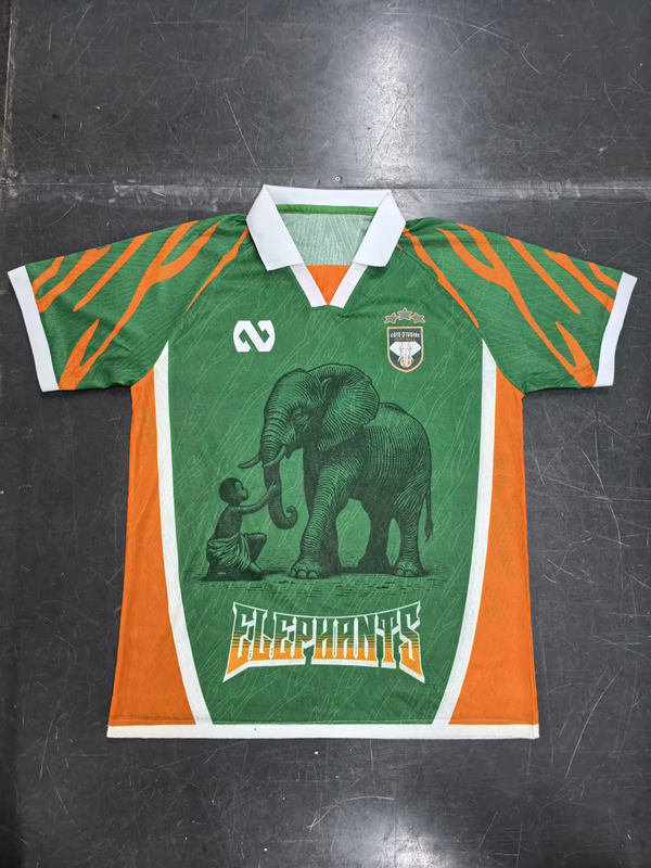 Maglia calcio edizione limitata versione fan Costa d'Avorio 2025/2026