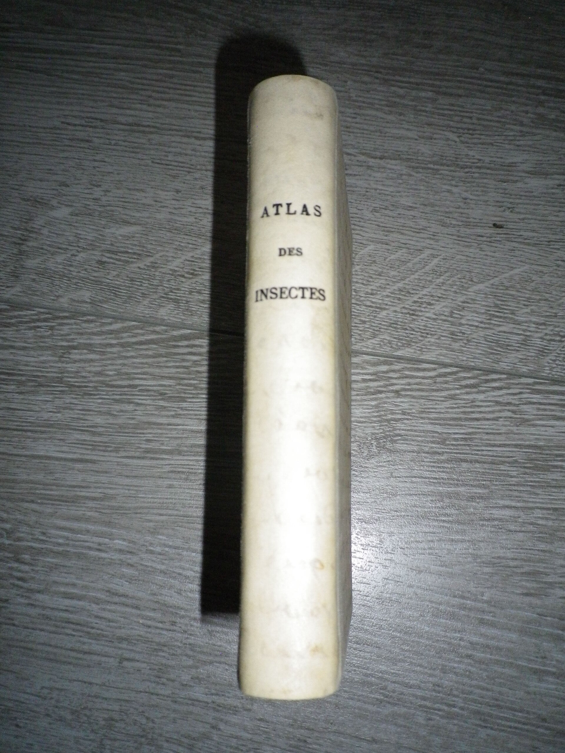 1844 Atlas des Insectes 110 Planches Coloriées  Roret – Reliure Vélin d'Époque en Manuscrit Réemployé