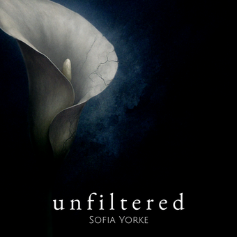 Fragmented Echoes bookcover, blue and white floral splash