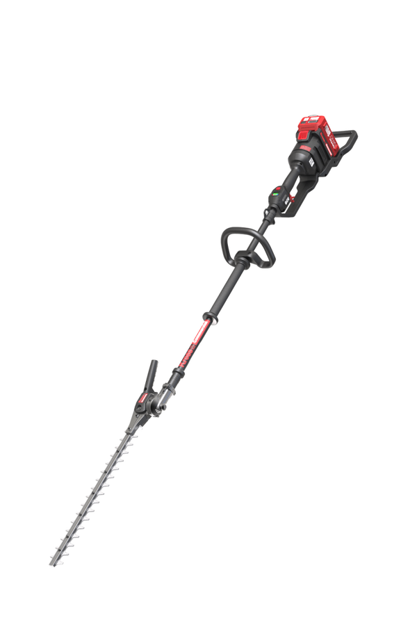 Taille-haie sur perche 60 V professionnelle