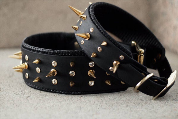 Biothane Halsband „Daiya“
