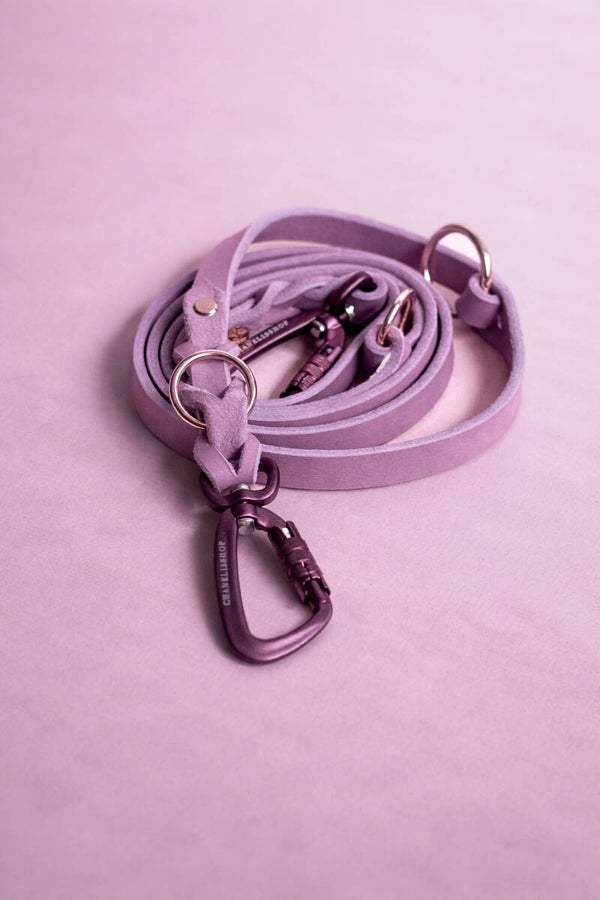 MEGA SALE! Nur für kurze Zeit! Leine mit Sicherheitskarabiner