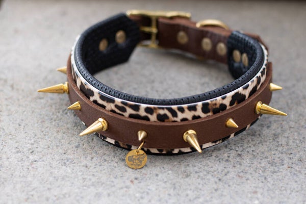 Halsband “Leo D’Oro” mit Nieten