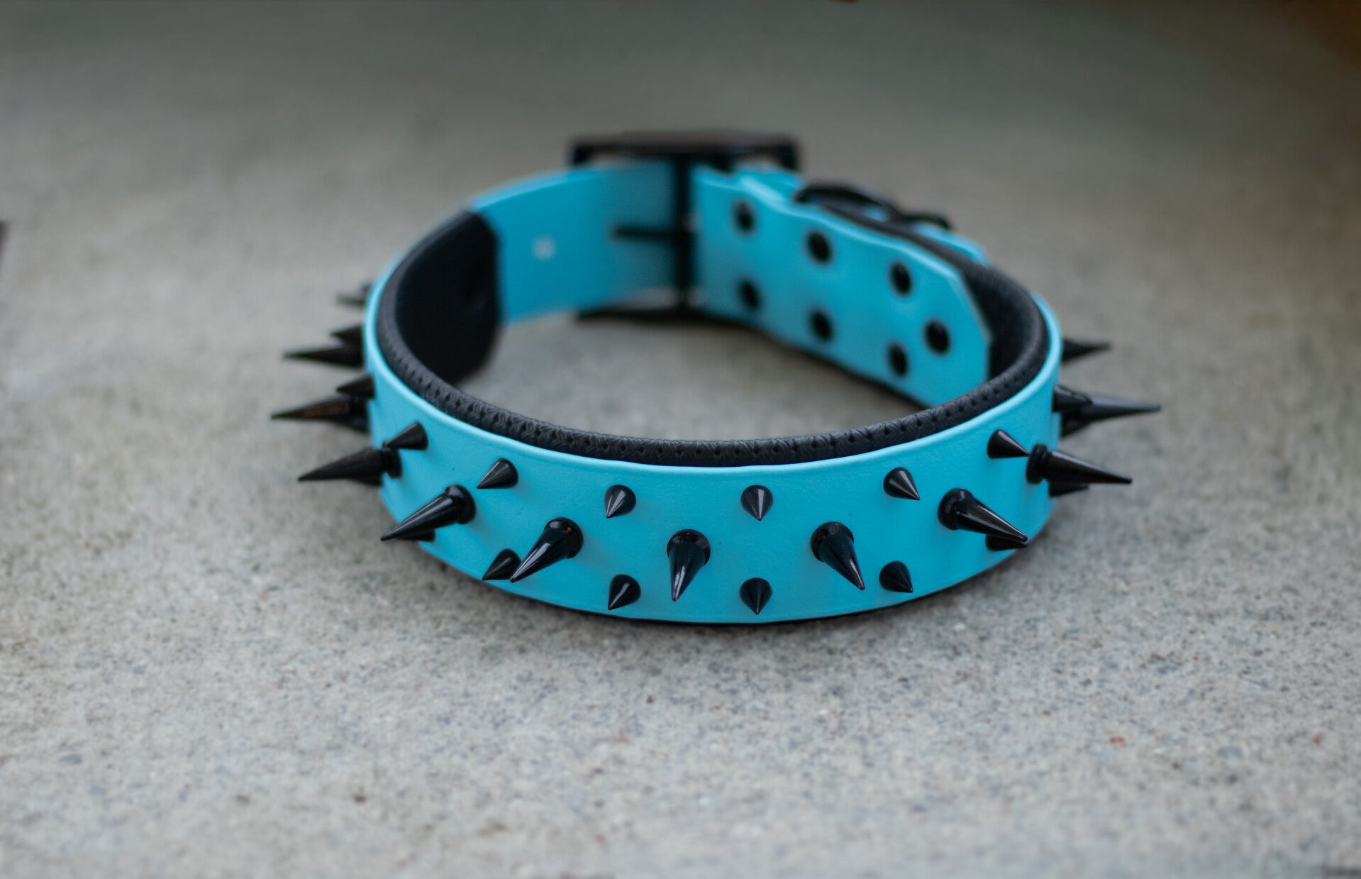 Biothane Halsband „Puissance“