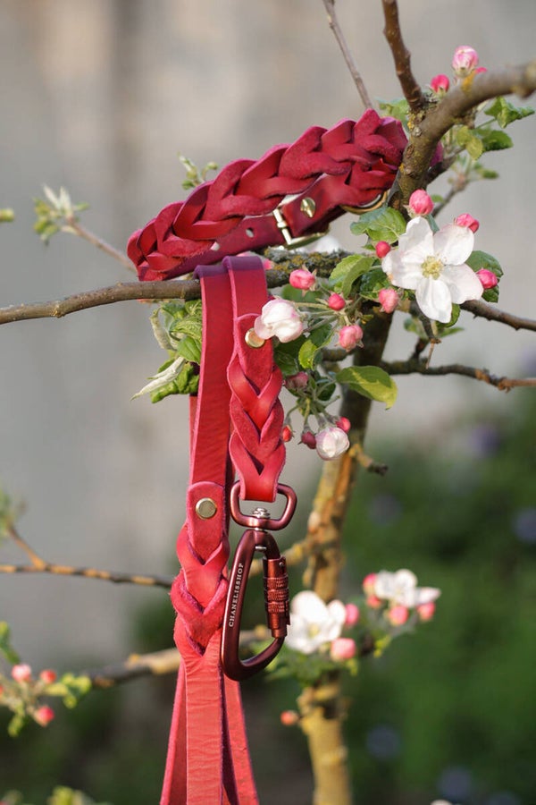 Fettleder Halsband “geflochten”