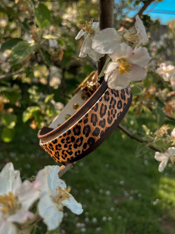 Biothane Halsband Wild Leo